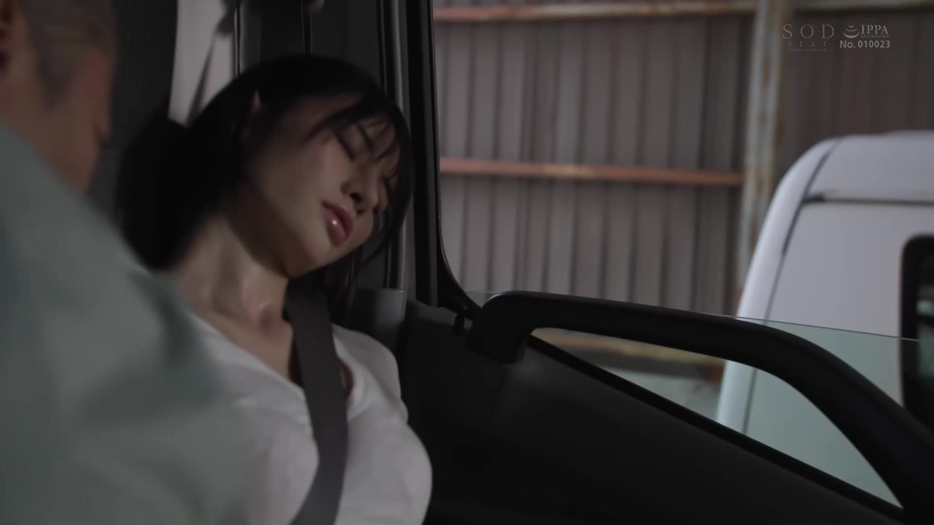 Married wife with beautiful breasts cheated on her husband while having sex while accompanying her married driver on delivery Mei Miyajima - AV大平台-Chinese Subtitles, Adult Films, AV, China, Online Streaming