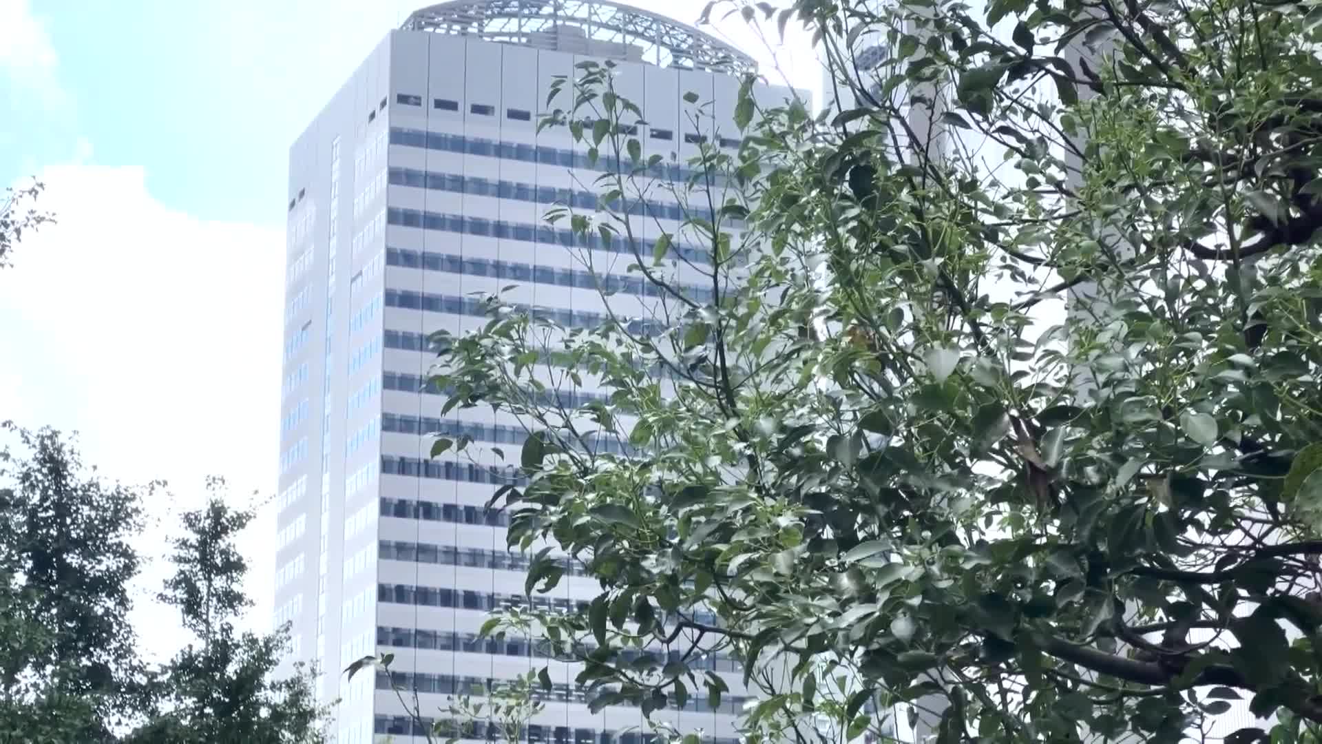 帶著懷疑的新人偶像被帶到可疑的BAR，吸入紫煙並被媚藥迷住，無論如何抵抗，在VIP包廂外都無法發出聲音，被揉搓乳房，手指插入，直到失禁潮吹，臉上滿是慾望，無法控制地多次瘋狂高潮的混亂性愛派對-松井日奈子 - AV大平台-中文字幕,成人影片,AV,国产,线上看